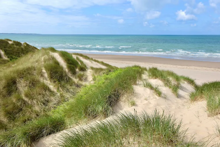 sand dunes with grass, blue sea in background and blue clear sky