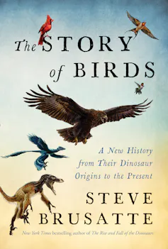 Story of Birds cover