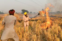 Excessive air pollution in South Asia: when agricultural practices confound satellite tv for pc observations 2 file 20260427 57 ev7p6f.jpg?ixlib=rb 4.1