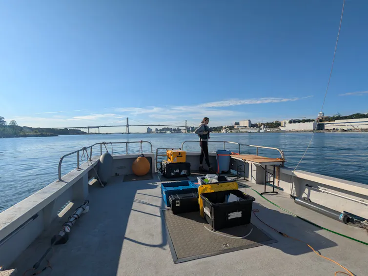 Person on board small scientific boat, large bridge in background