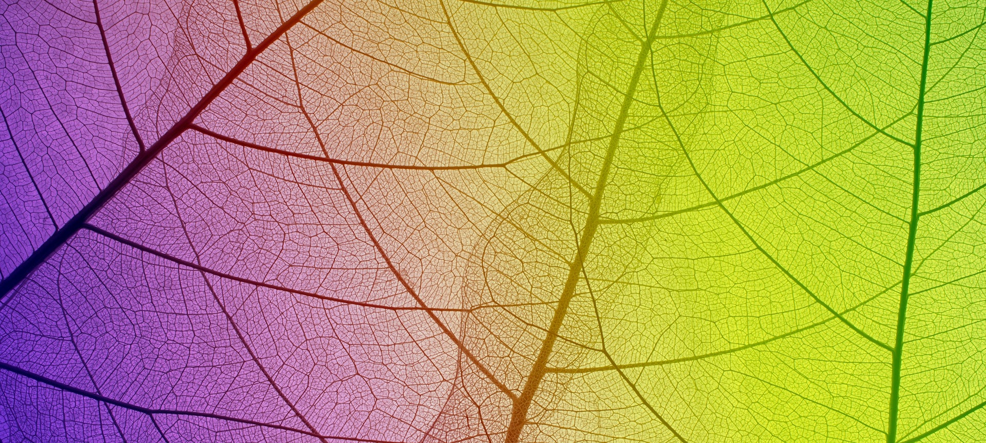 ScienceWireDaily — Introducing The Conversation Climate Poetry Award – for UK-based academics