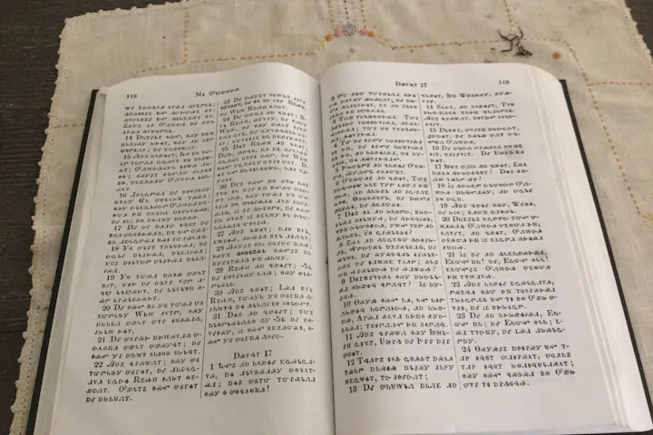 https://images.theconversation.com/files/732573/original/file-20260427-71-pbxlm8.jpg?ixlib=rb-4.1.0&rect=0%2C135%2C3264%2C2176&q=50&auto=format&w=360&h=240&fit=crop&dpr=2