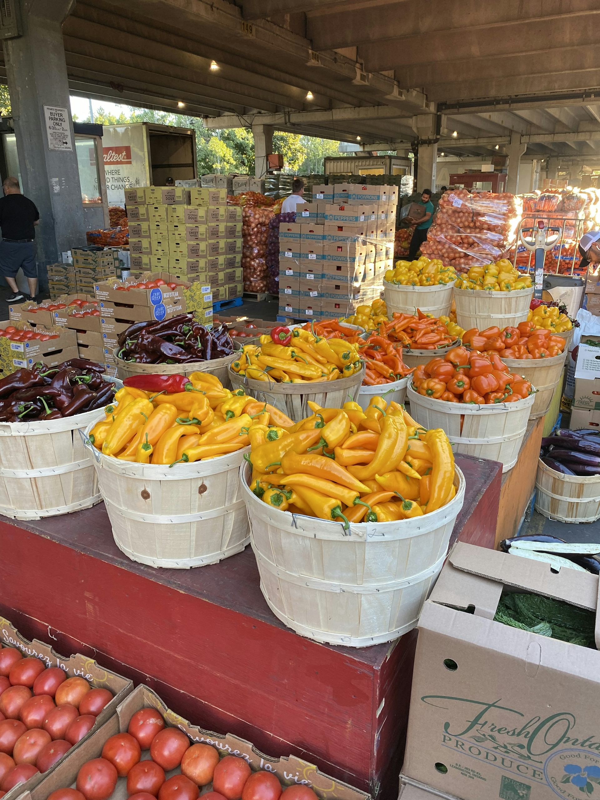Cestas de pimientos amarillos y naranjas en una terminal de alimentos de Ontario.