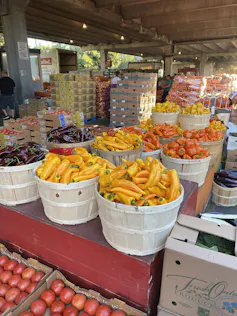 Cestas de pimientos amarillos y naranjas en una terminal de alimentos de Ontario.