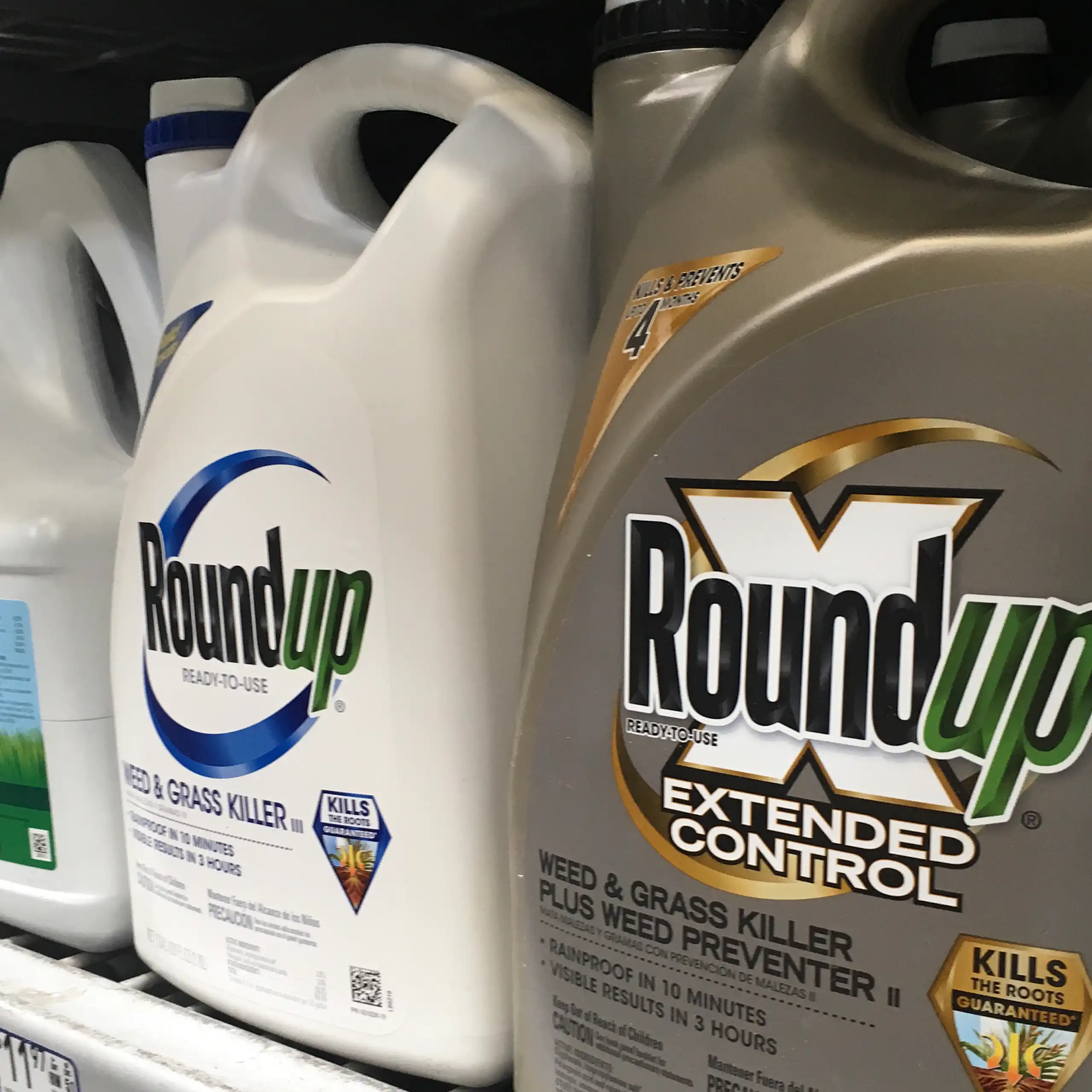 Plastic containers of the Roundup weed killer sit on a store shelf.