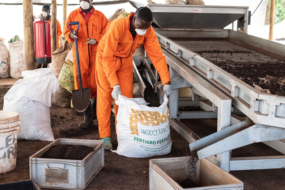 theconversation.com - Jaron Porciello - 80% of Africa's fertiliser is imported: how food systems can adapt to the Iran shock
