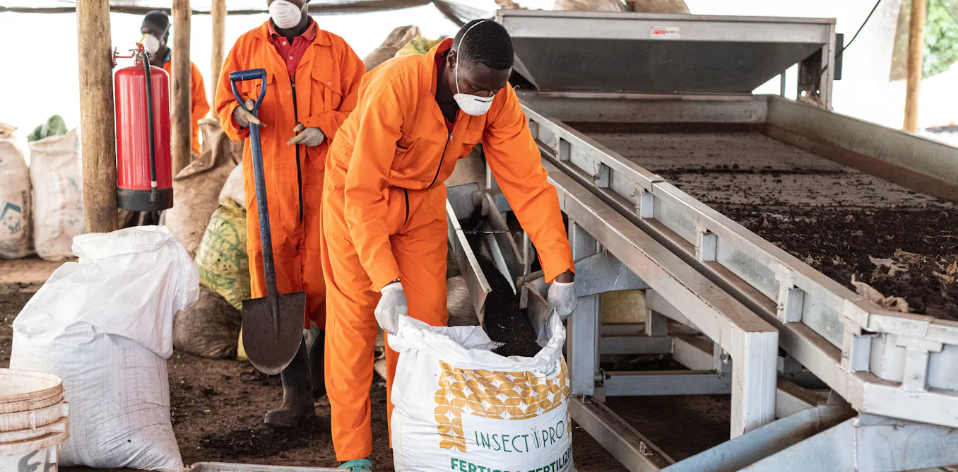 EnviroWireDaily — 80% of Africa’s fertiliser is imported: how food systems can adapt to the Iran shock