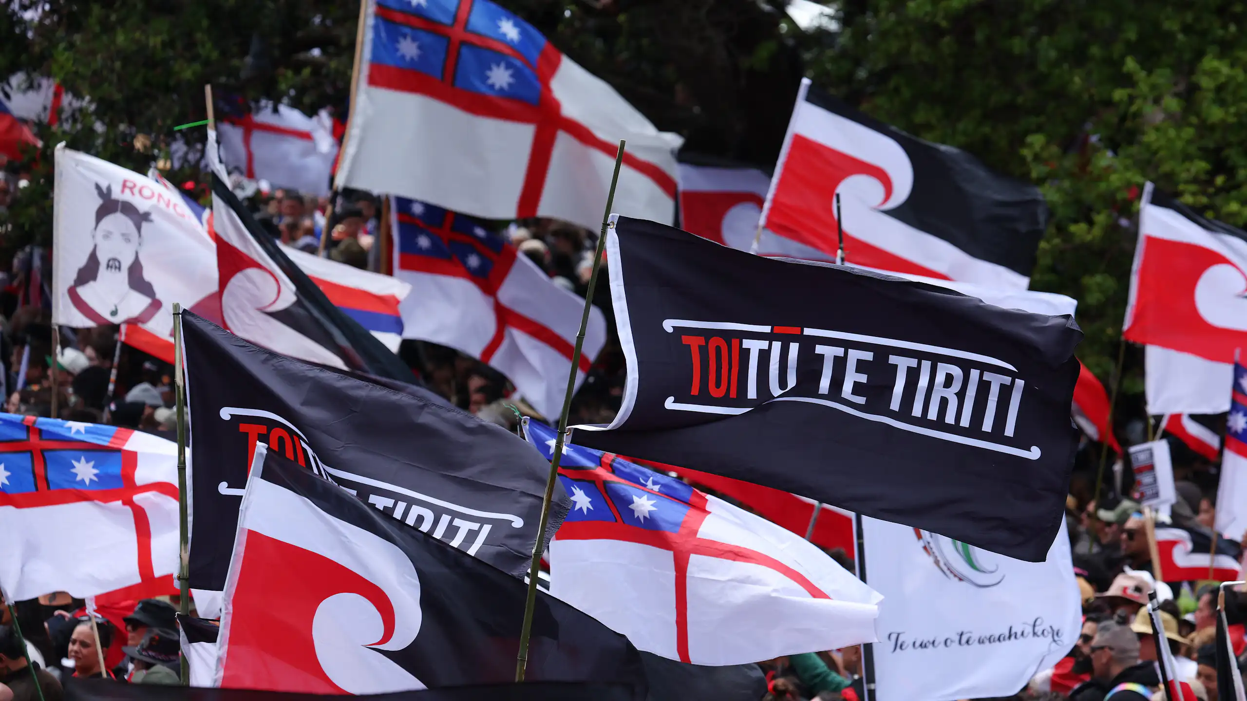 Māori sovereignty flags flying at a protest march