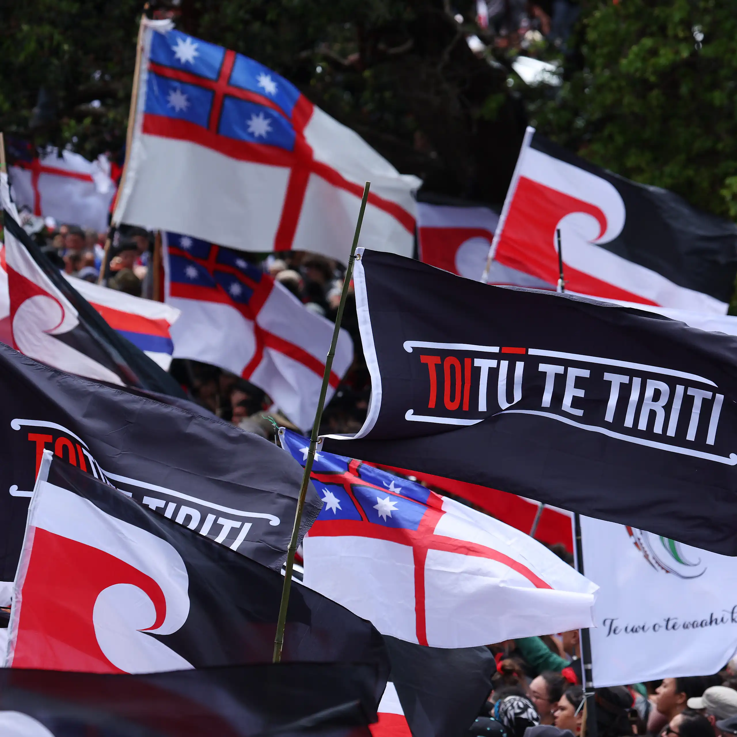 Māori sovereignty flags flying at a protest march