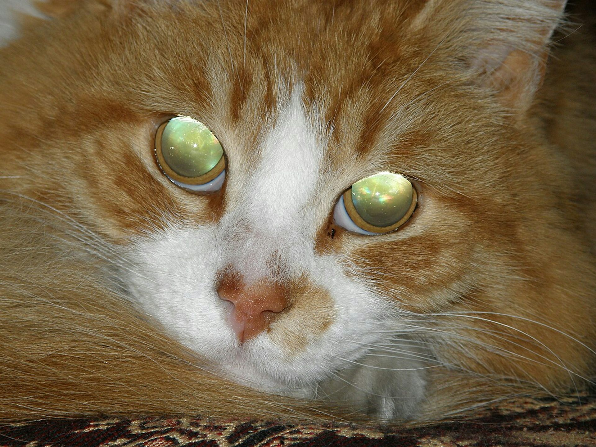 file 20260429 57 8nwo3d.jpg?ixlib=rb 4.1