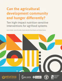 Report cover: 'Can the agricultural development community end hunger differently?'