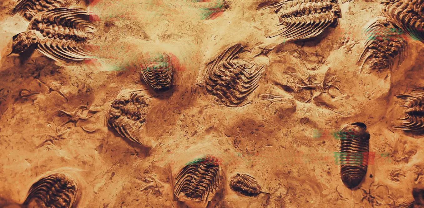 Are We Approaching the Next Major Evolutionary Shift? Are We Approaching the Next Major Evolutionary Shift?