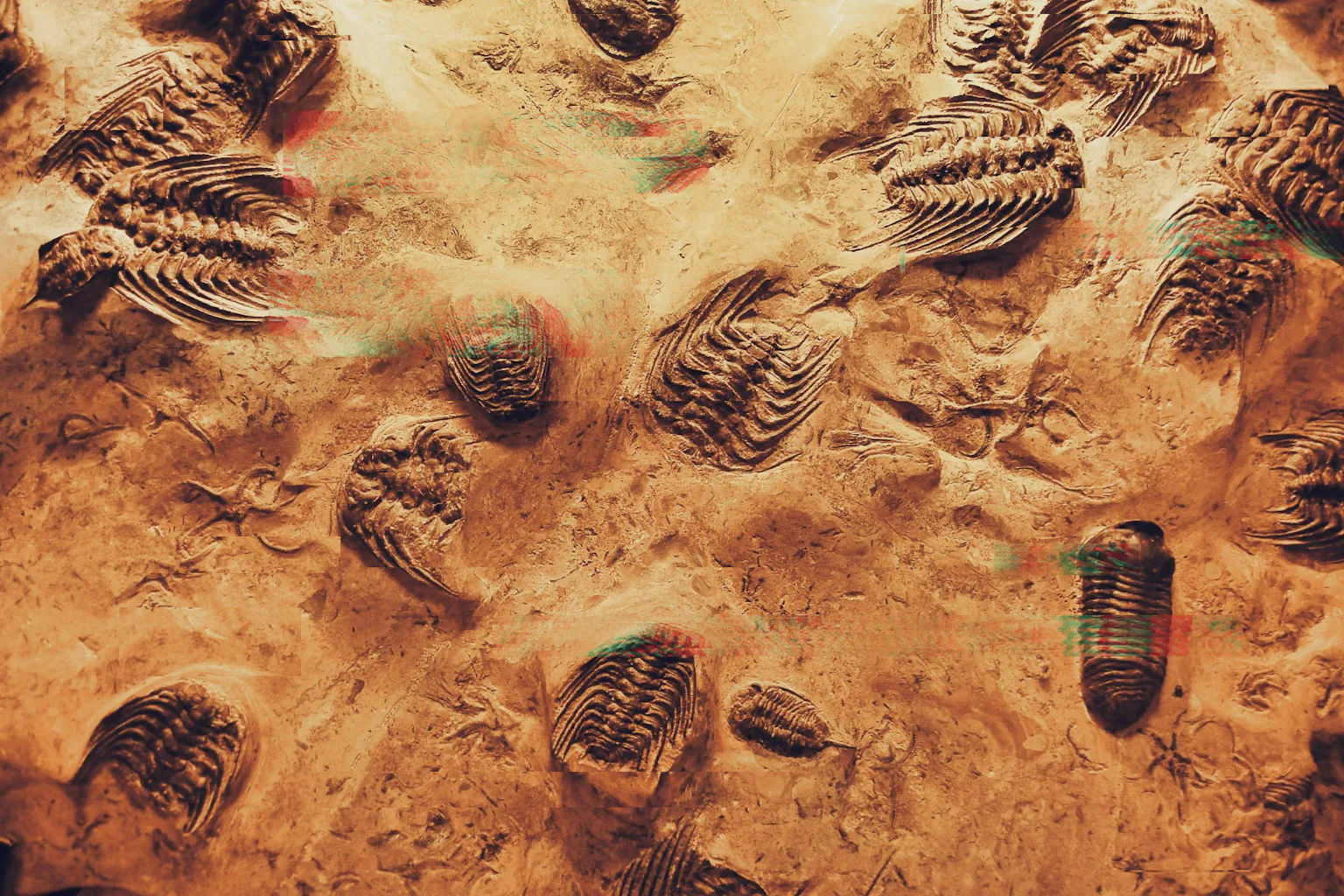 Evolvable AI: are we on the brink of the next major evolutionary transition?