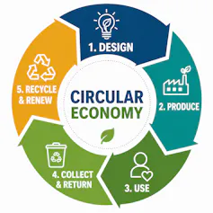 A graphic showing a circle that says 1. Design, 2. Produce, 3. Use, 4. Collect and Return and 5. Recycle and Renew