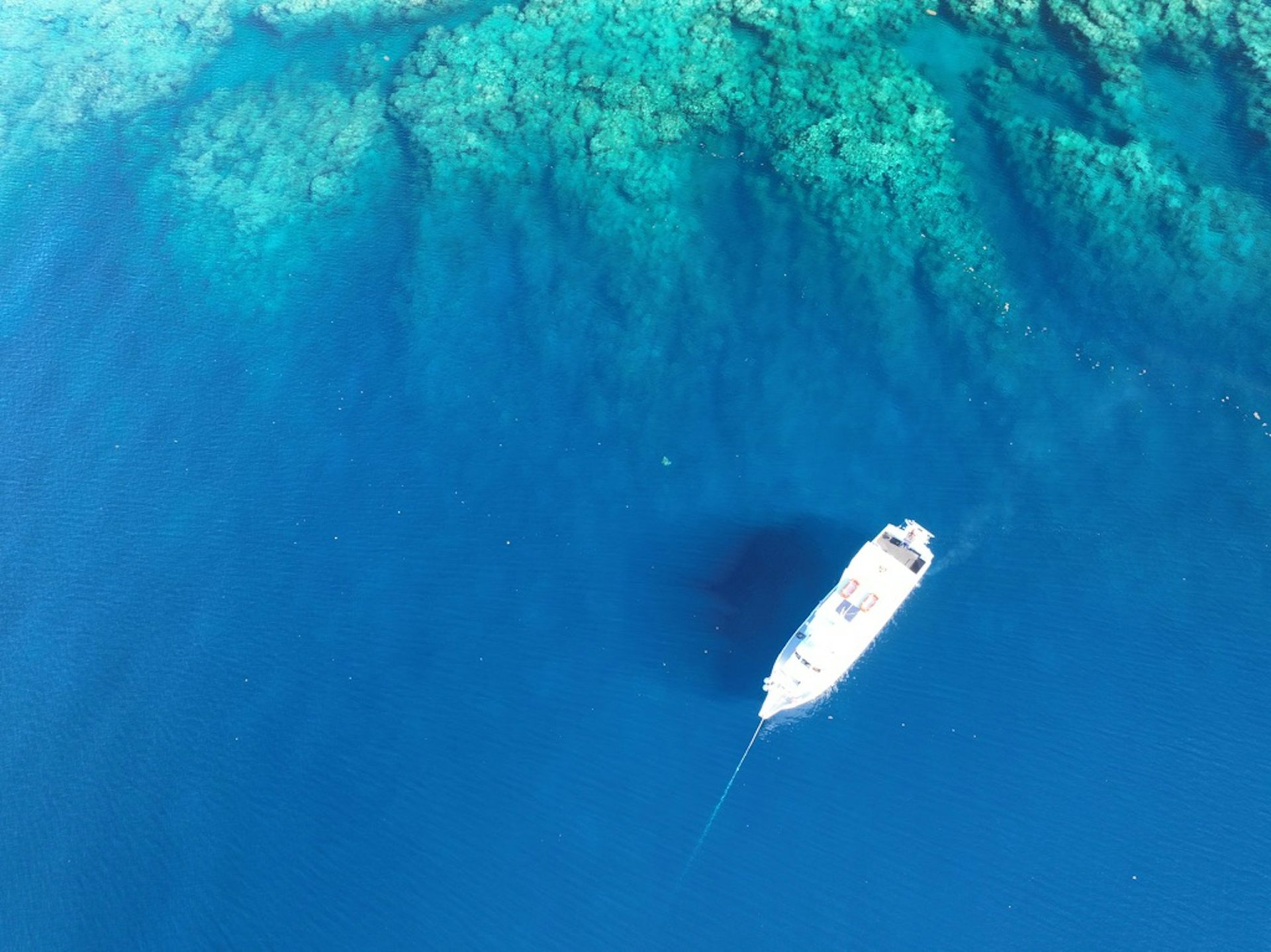 EnviroWireDaily — Massive marine heatwave caused Caribbean coral reefs to collapse much faster than predicted – new research
