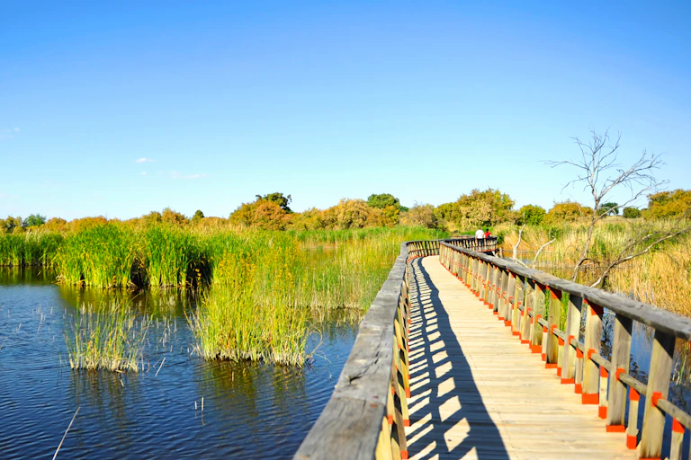Paisaje con agua, vegetación y una pasarela