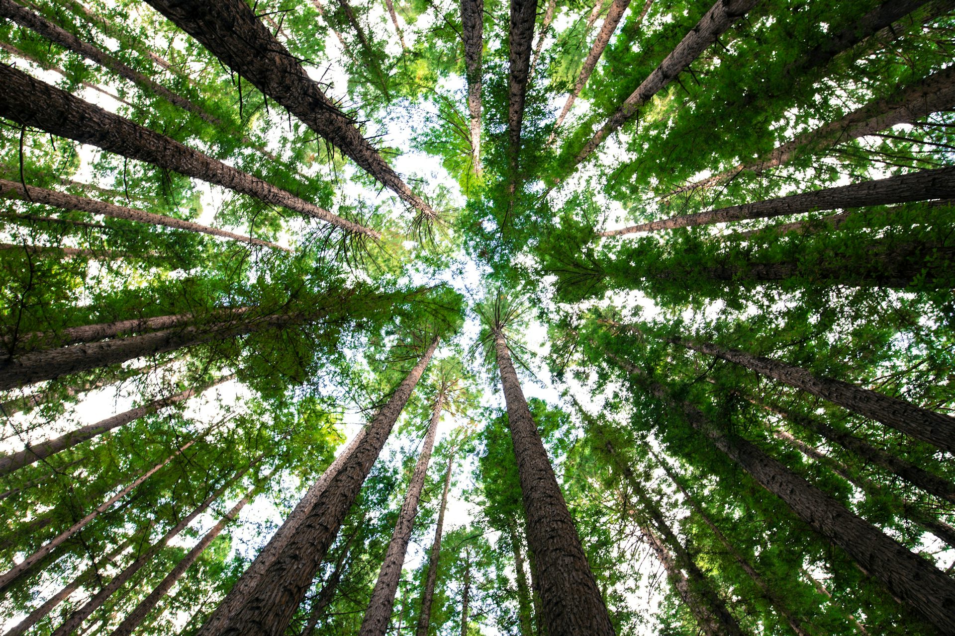 How a sense of awe can be good for your mental health