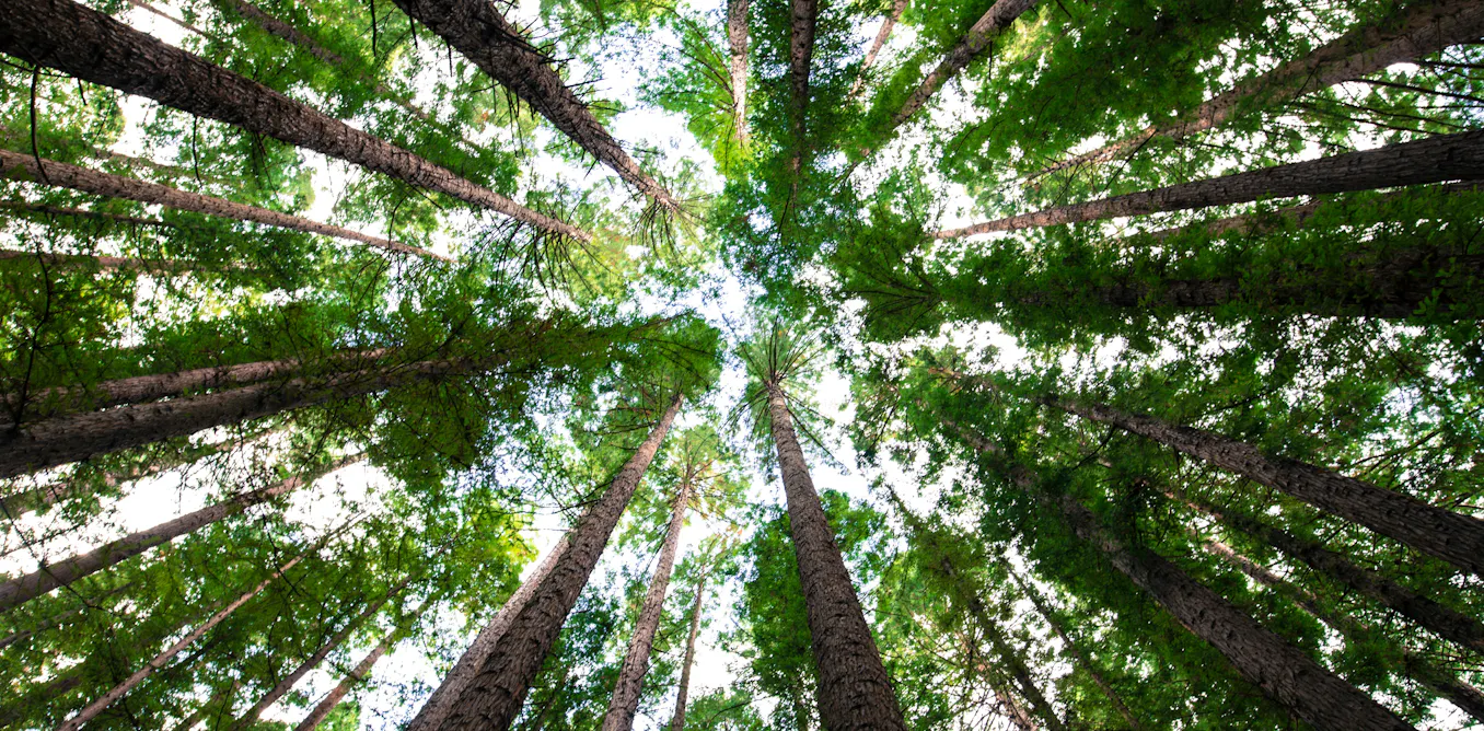 How a sense of awe can be good for your mental health