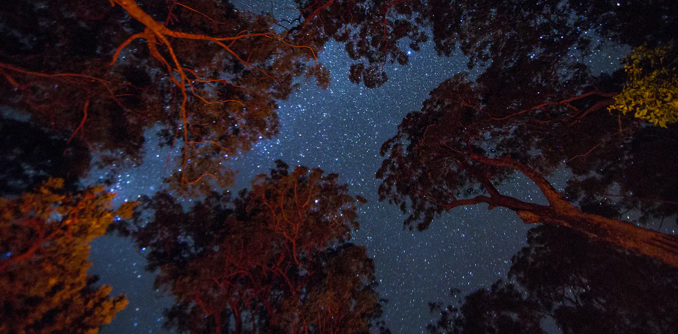 EduWireDaily — Indigenous Australians were the world’s first astronomers. But their knowledge is now at risk