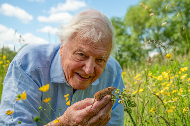 Attenborough holding a harvest mouse