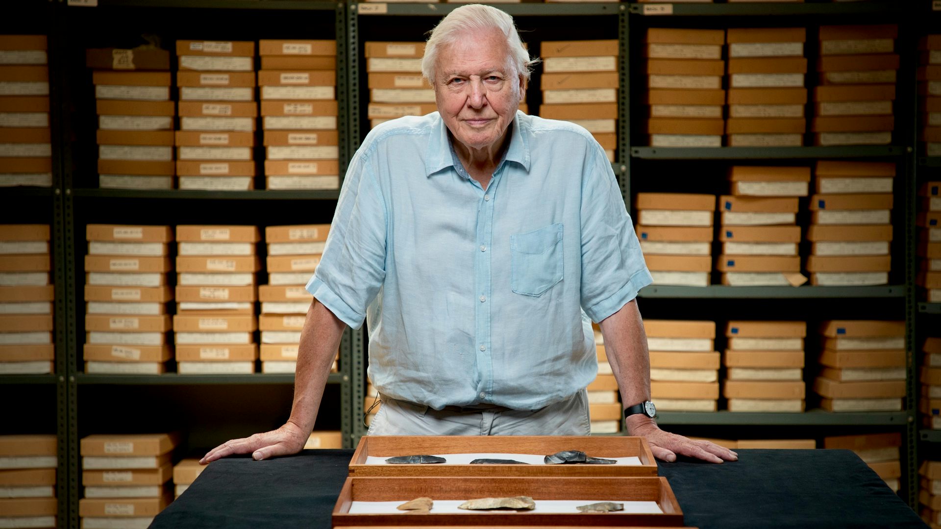 Attenborough in a museum archive.