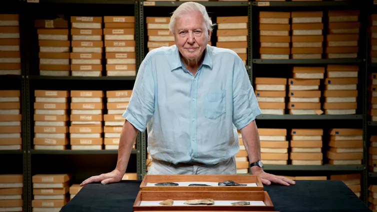 Attenborough in a museum archive.