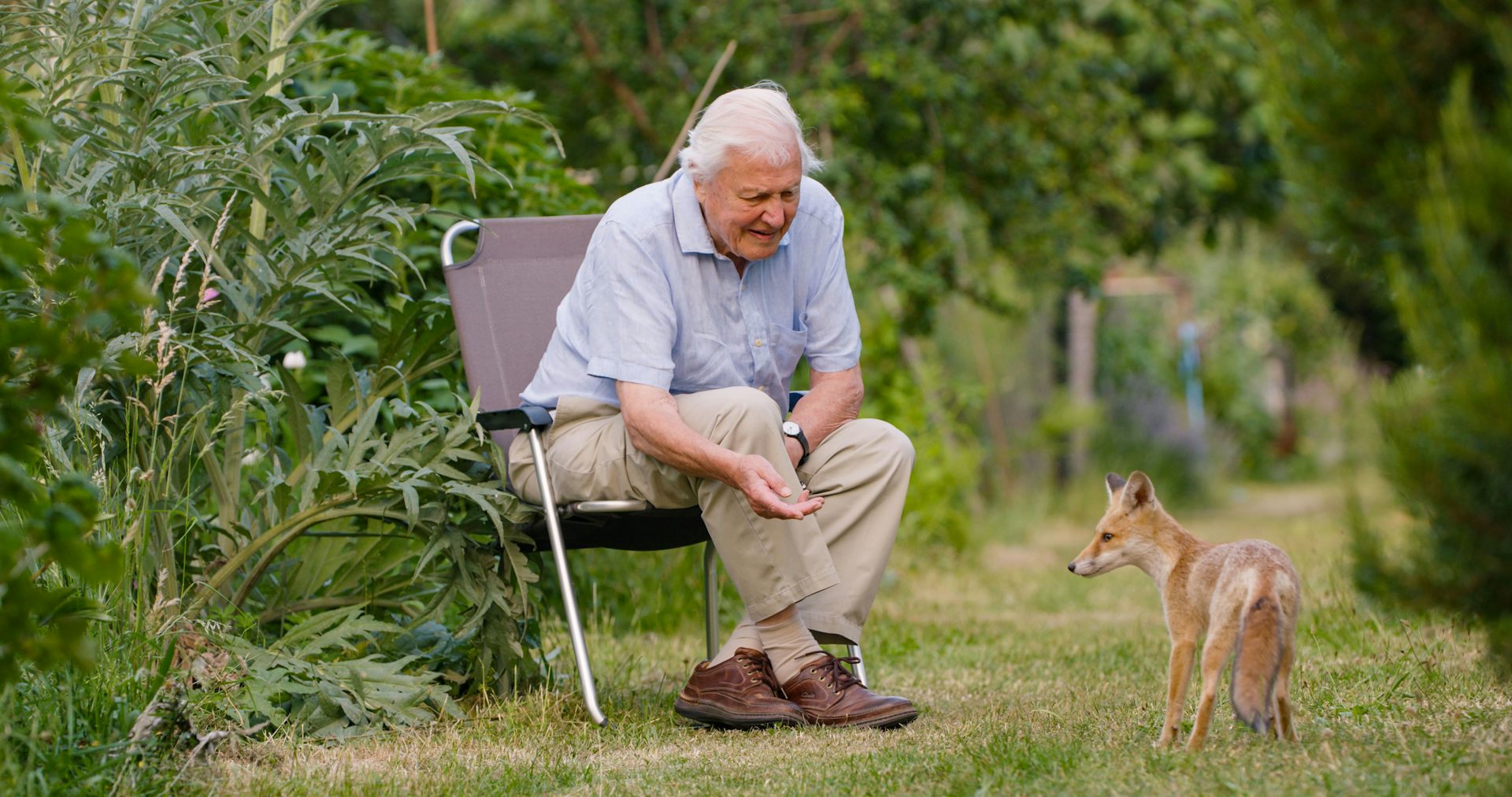 Attenborough with fox