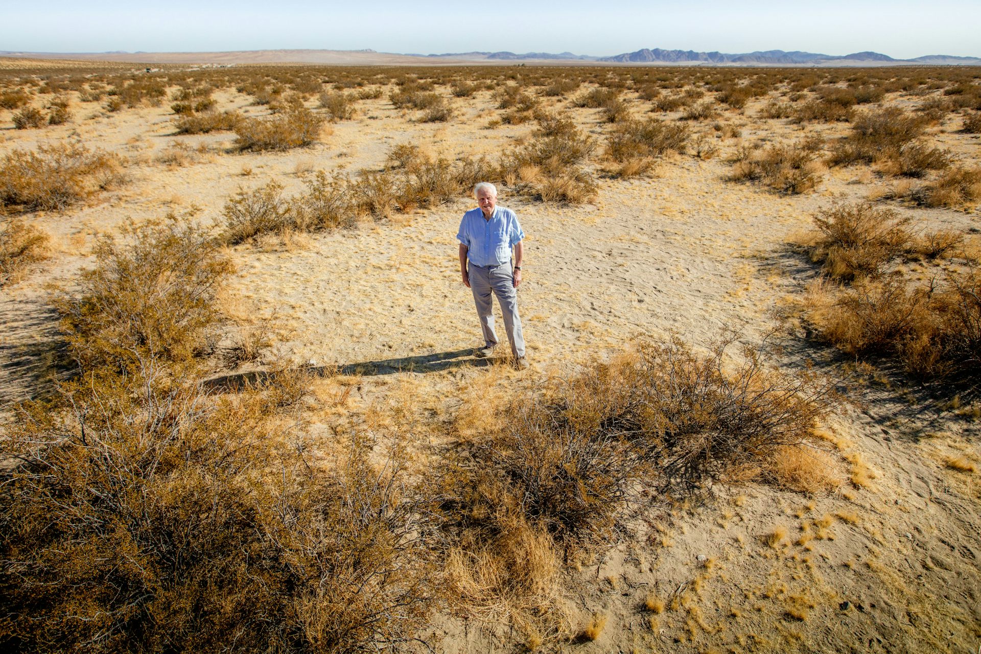 Attenborough stood in the dessert