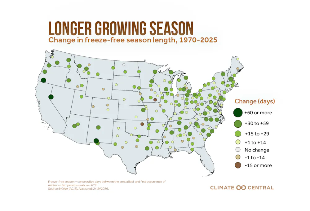 Pollen allergies are brutal this year – a doctor explains why, and how ...