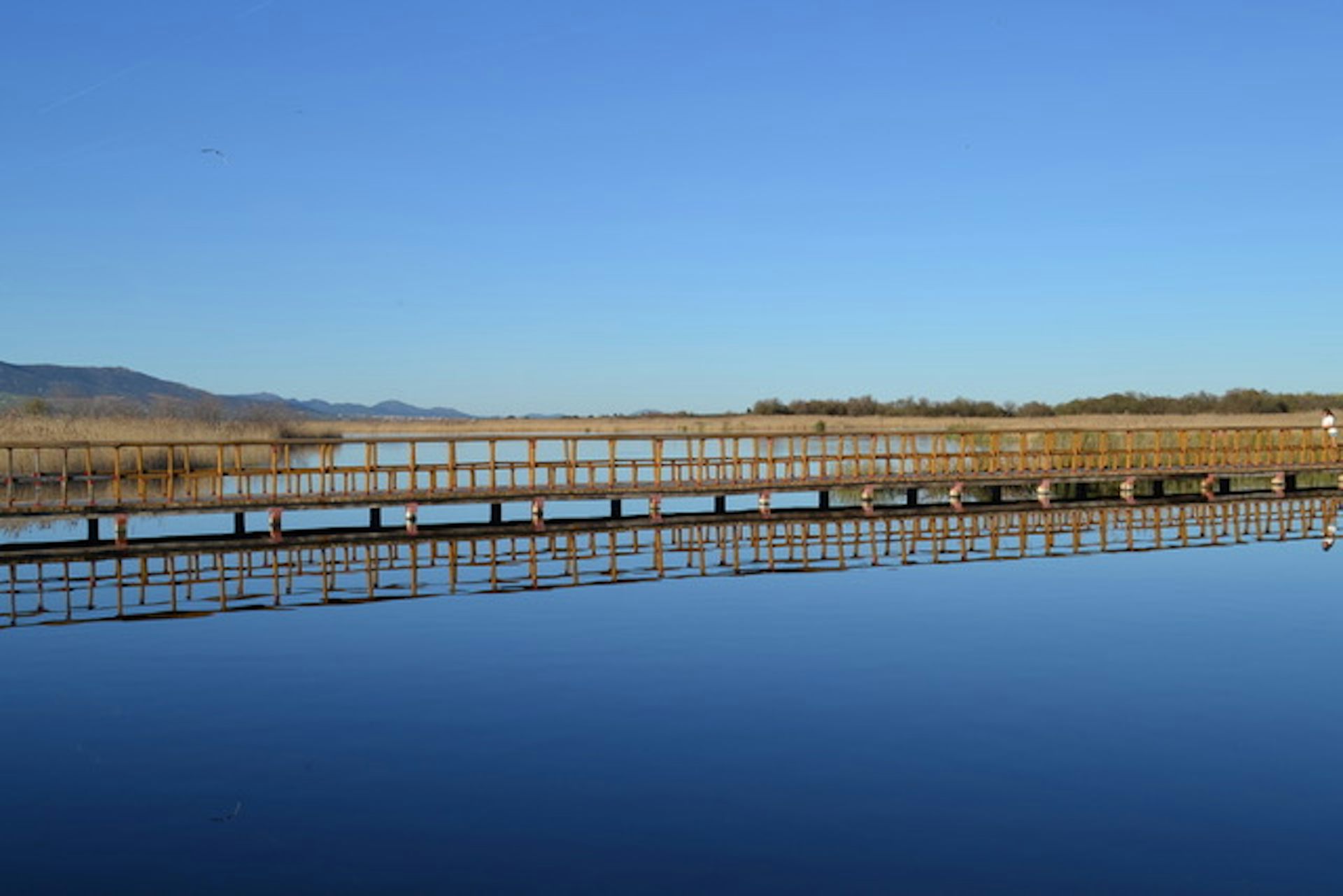 Paseo Marítimo del Parque Nacional Tablas de Daimiel (Ciudad Real, España) Francisco J. Moreno Diaz del Campo
