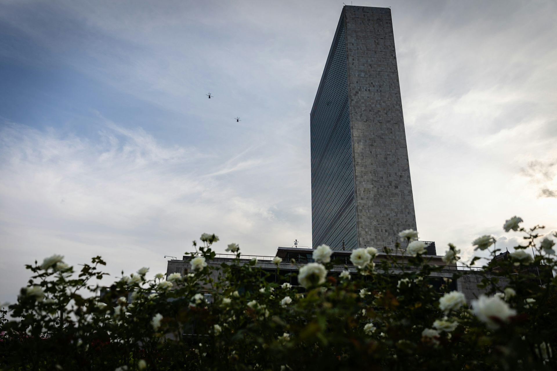 A tall building with a rose garden in the foreground.