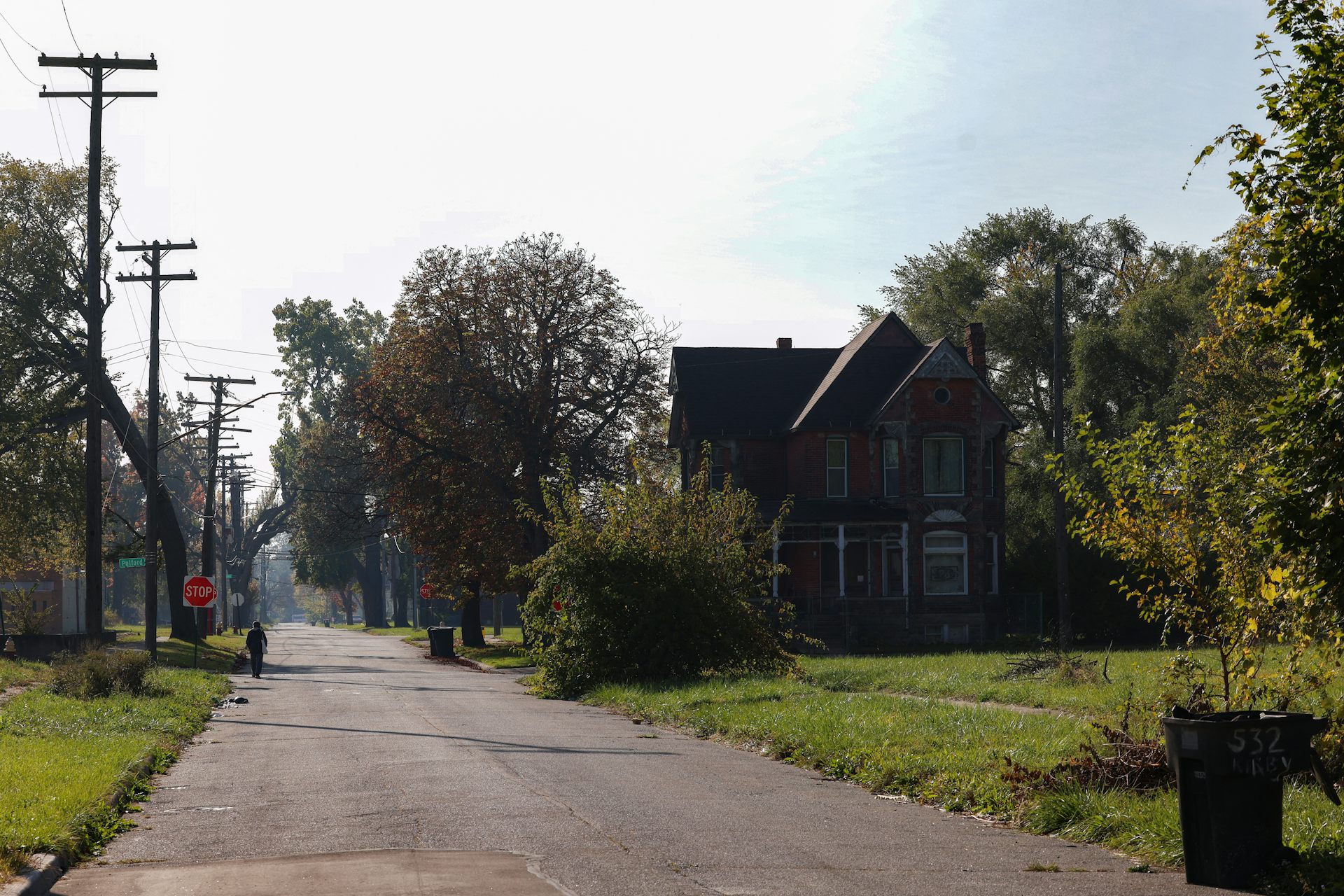 Open street lines with trees with a home standing nearby.