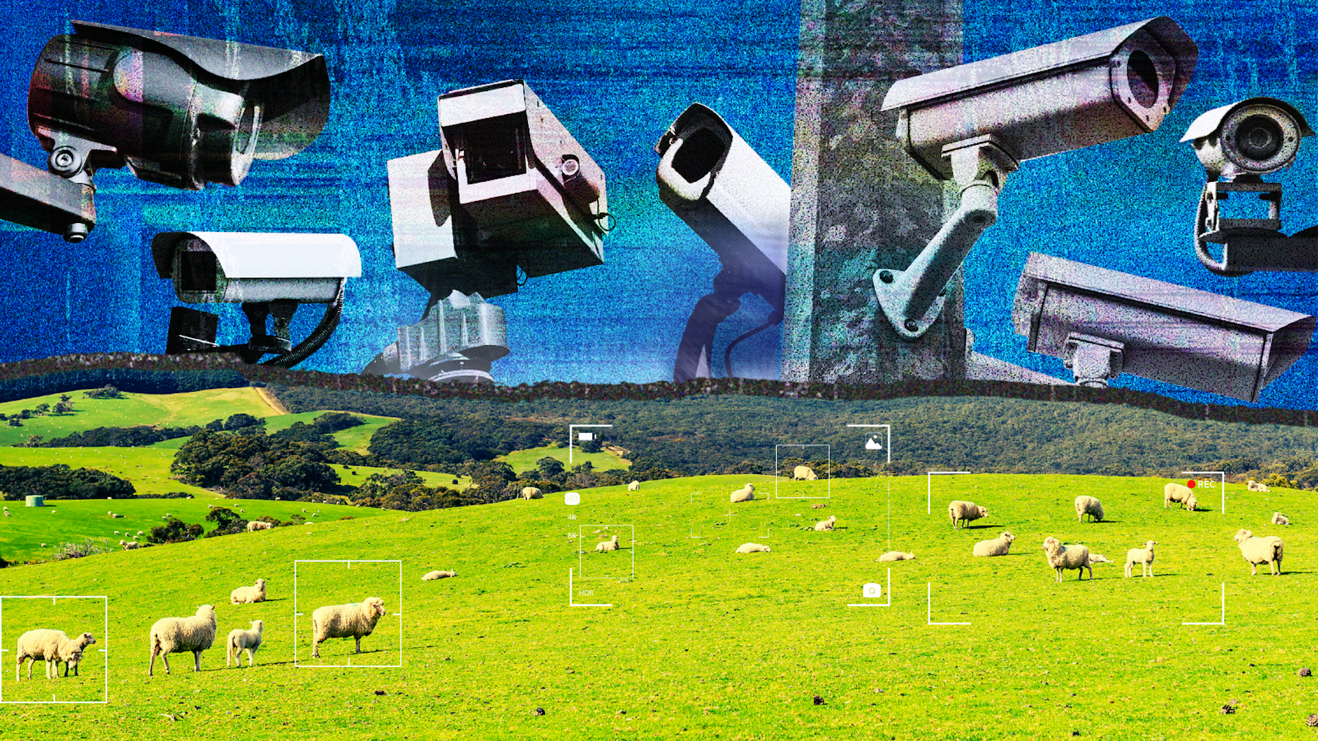 Copyright law is being used to hide alleged animal abuse. Here’s what’s at stake