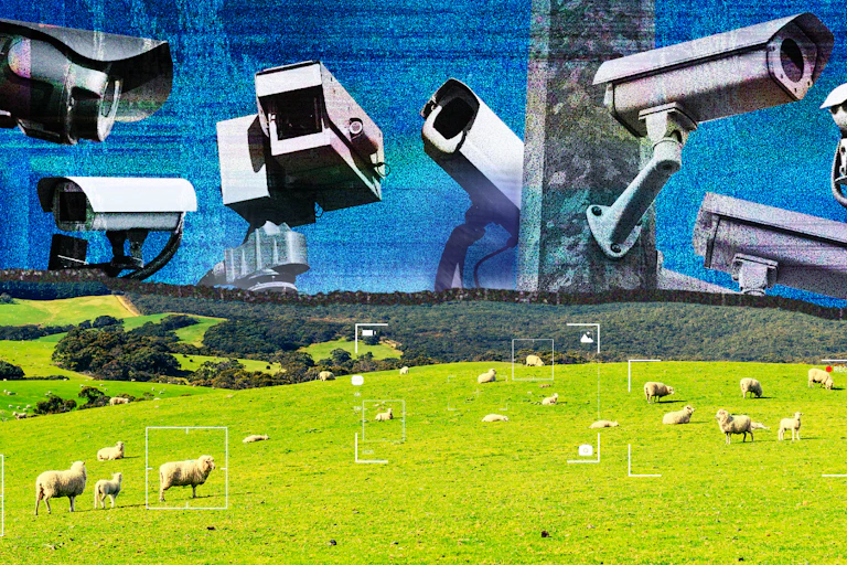 Copyright law is being used to hide alleged animal abuse. Here’s what’s ...