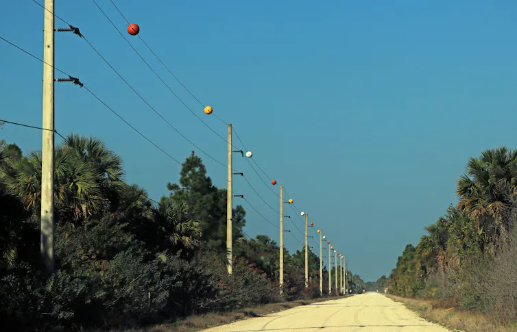 ¿Qué son esas bolas naranjas en algunas líneas eléctricas? 1 Marcador de bolas en líneas eléctricas a lo largo del camino de grava.