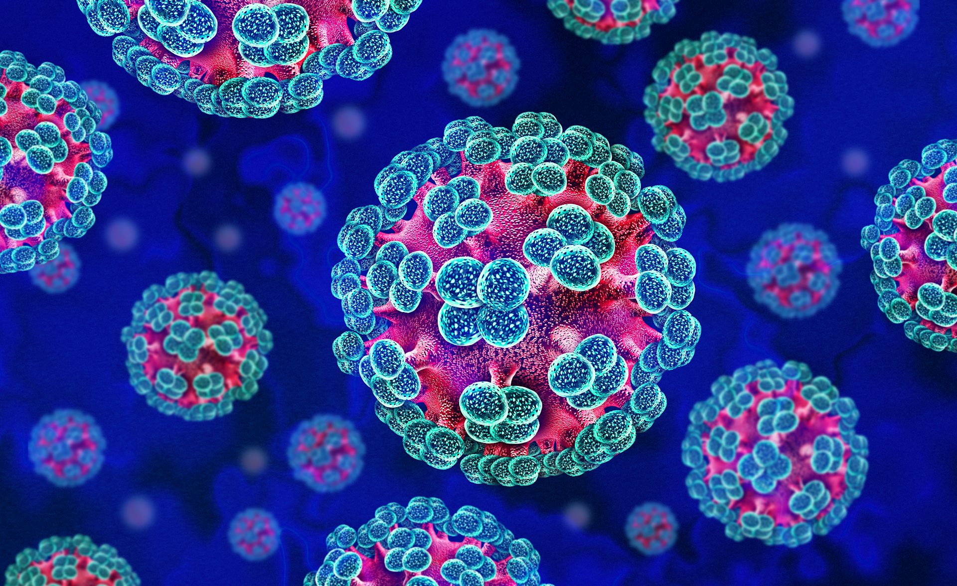 Illustration en 3D d’hantavirus, des virus à ARN zoonotique transmis, de manière exceptionnelle, à l'humain par des rongeurs infectés et qui provoquent des maladies respiratoires et hémorragiques graves.