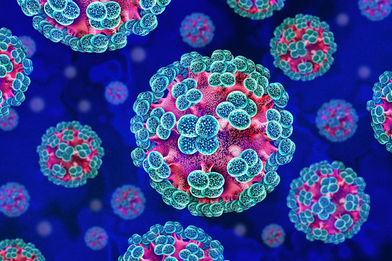 Illustration en 3D d’hantavirus, des virus à ARN zoonotique transmis, de manière exceptionnelle, à l'humain par des rongeurs infectés et qui provoquent des maladies respiratoires et hémorragiques graves.