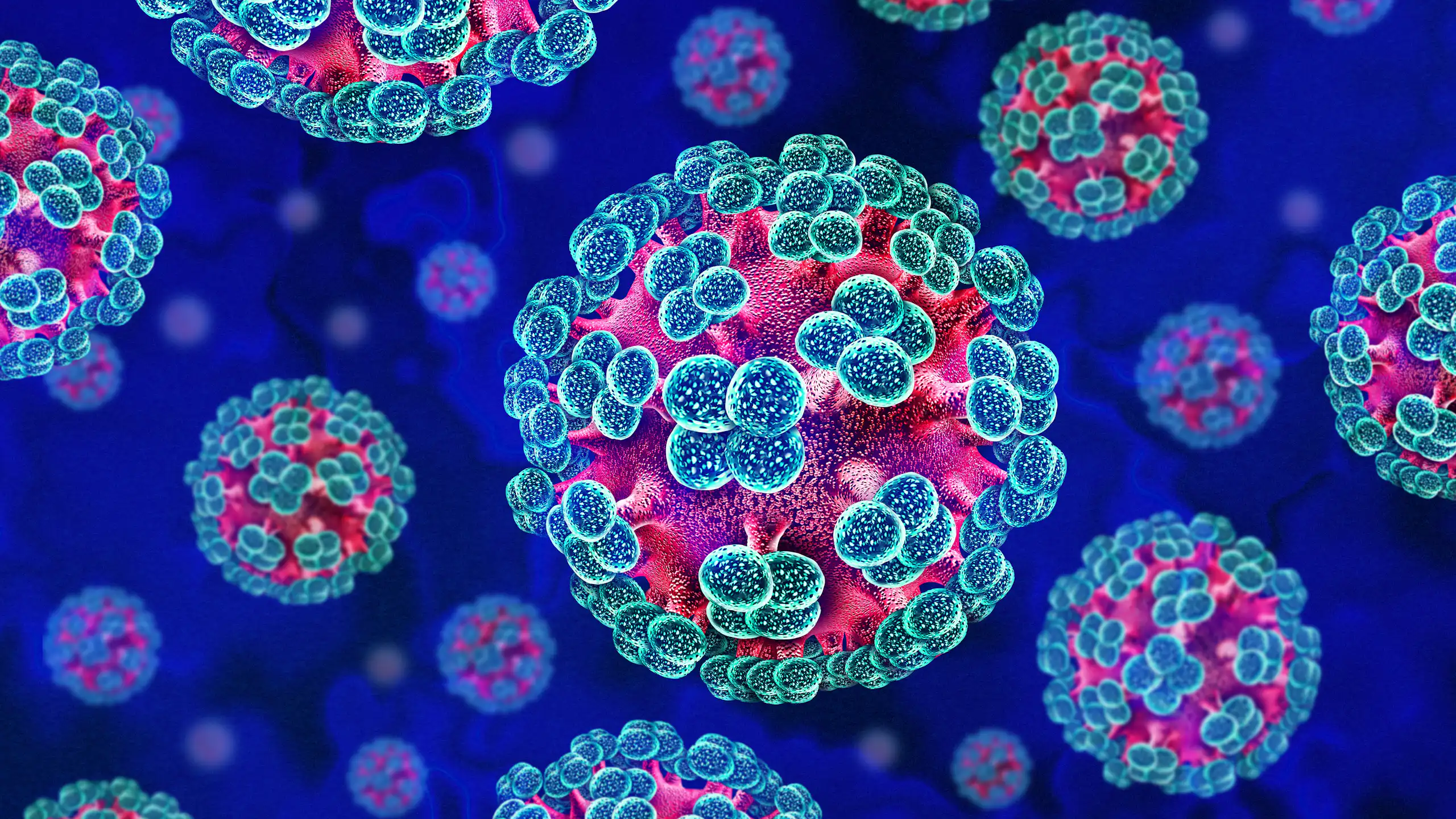 Illustration en 3D d’hantavirus, des virus à ARN zoonotique transmis, de manière exceptionnelle, à l'humain par des rongeurs infectés et qui provoquent des maladies respiratoires et hémorragiques graves.