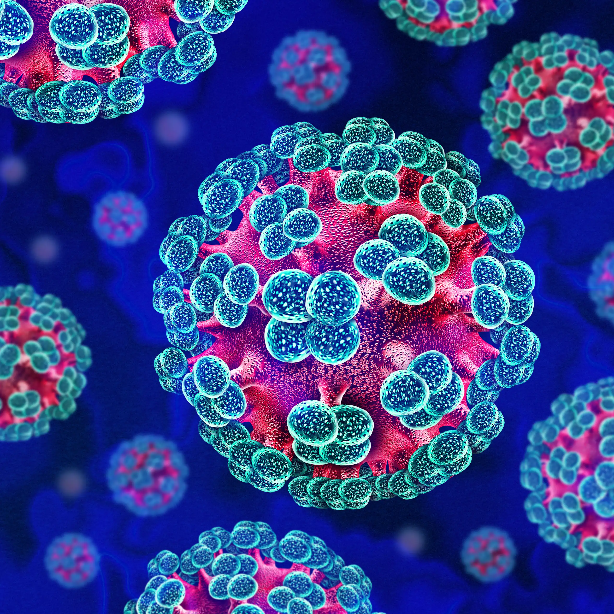Illustration en 3D d’hantavirus, des virus à ARN zoonotique transmis, de manière exceptionnelle, à l'humain par des rongeurs infectés et qui provoquent des maladies respiratoires et hémorragiques graves.