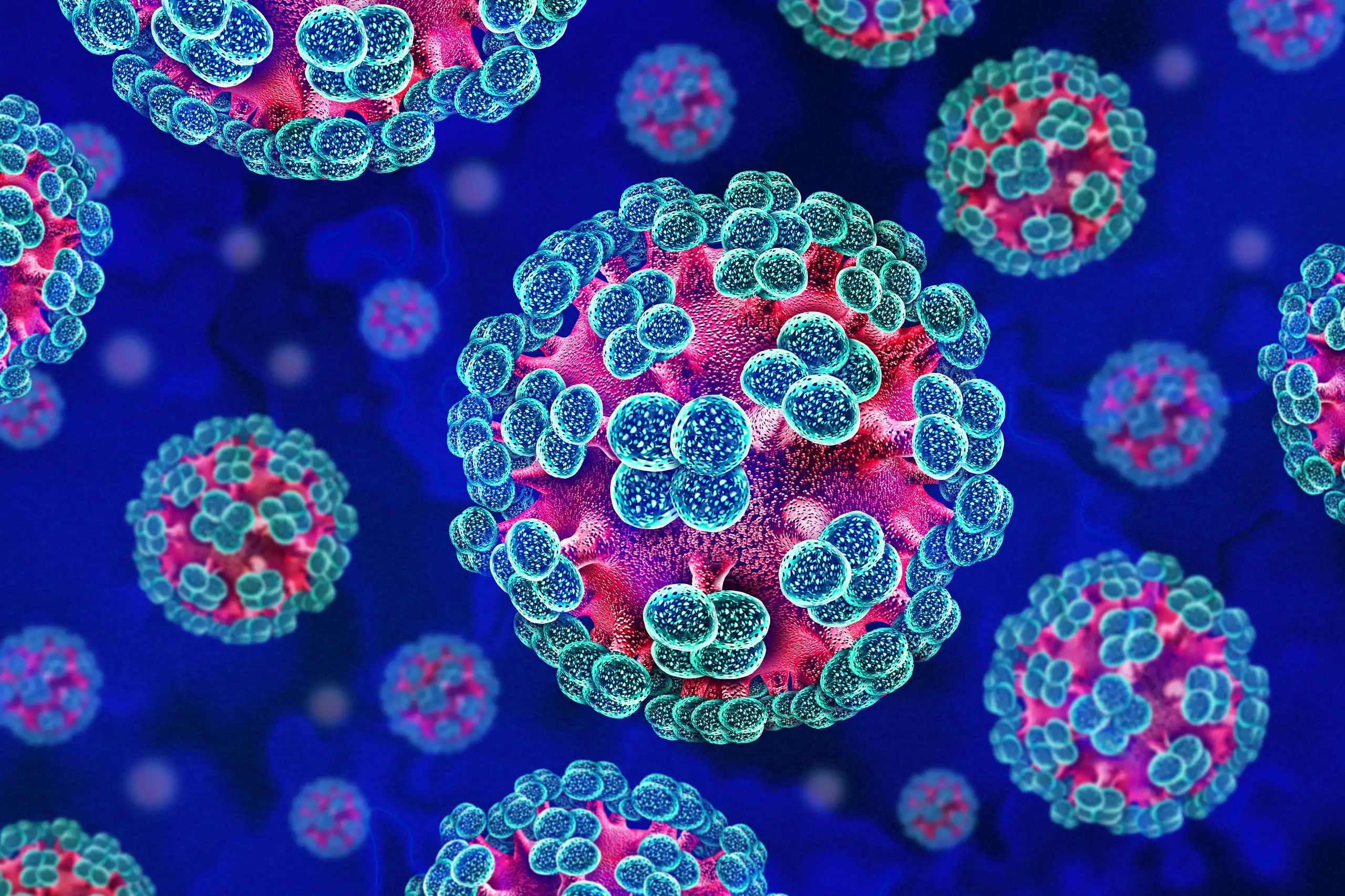 Illustration en 3D d’hantavirus, des virus à ARN zoonotique transmis, de manière exceptionnelle, à l'humain par des rongeurs infectés et qui provoquent des maladies respiratoires et hémorragiques graves.