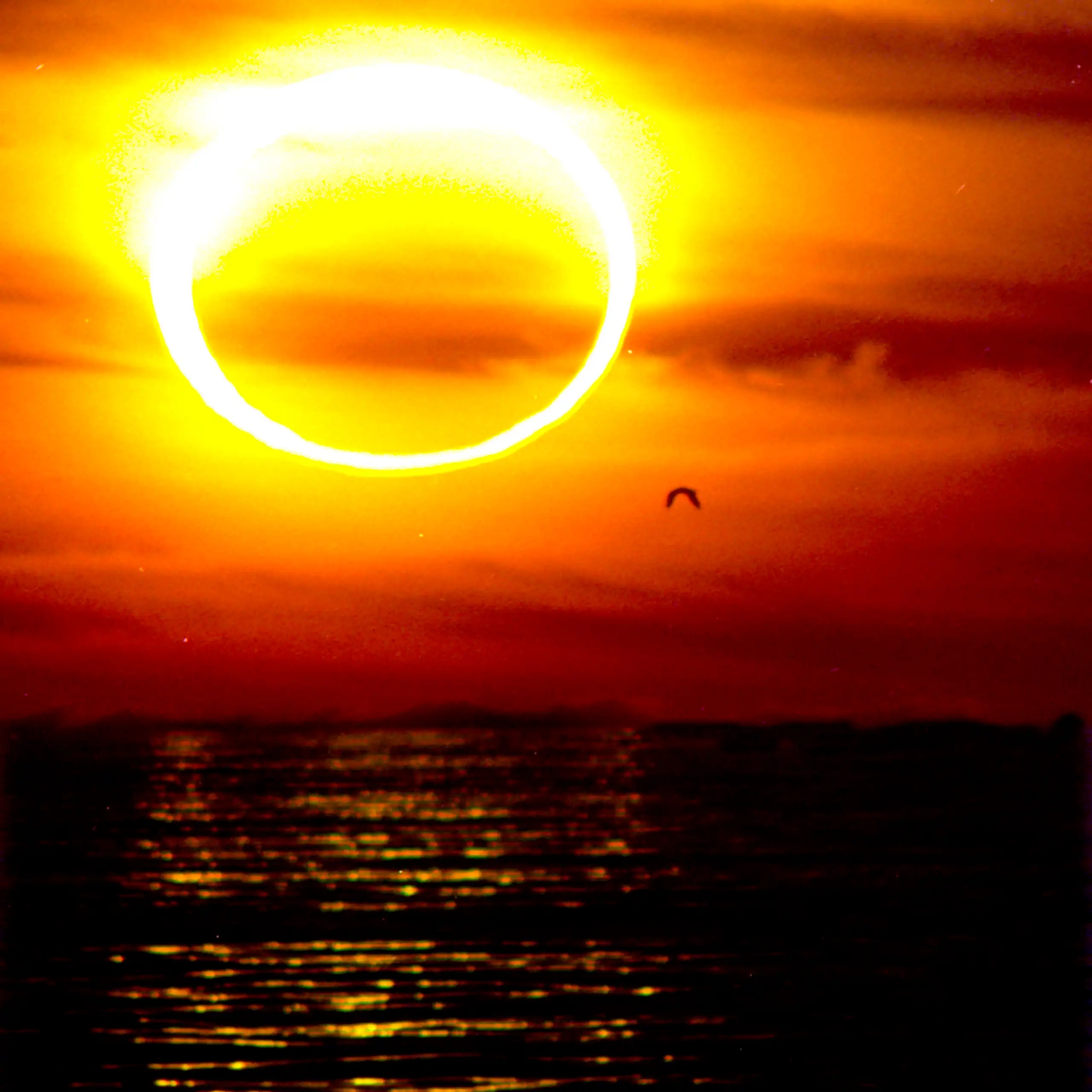 Eclipsi sobre el mar, amb el cel roig i taronja.