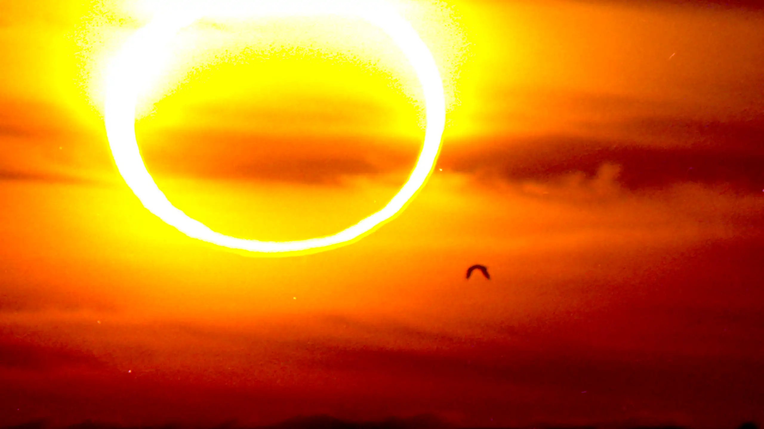 Eclipsi sobre el mar, amb el cel roig i taronja.