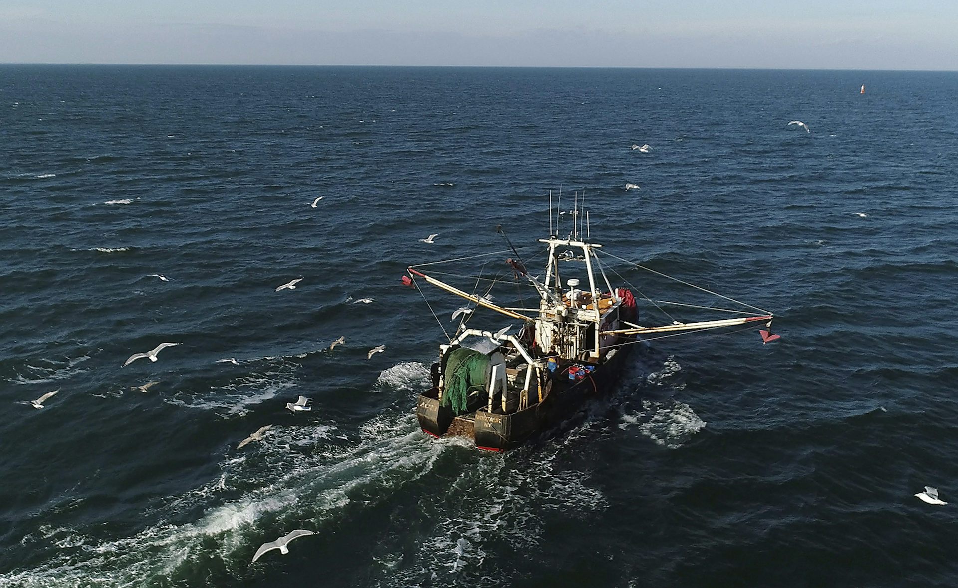 EnviroWireDaily — Bottom trawling is scraping oceans of wildlife