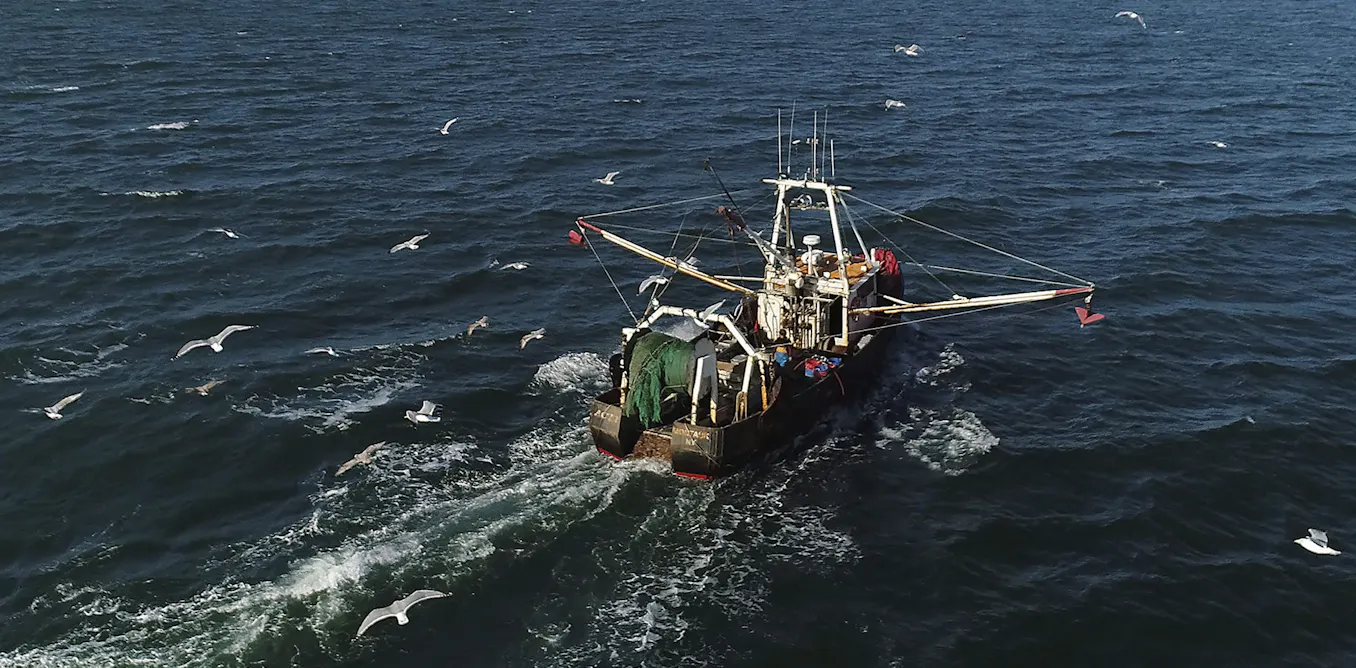 EnviroWireDaily — Bottom trawling is scraping oceans of wildlife