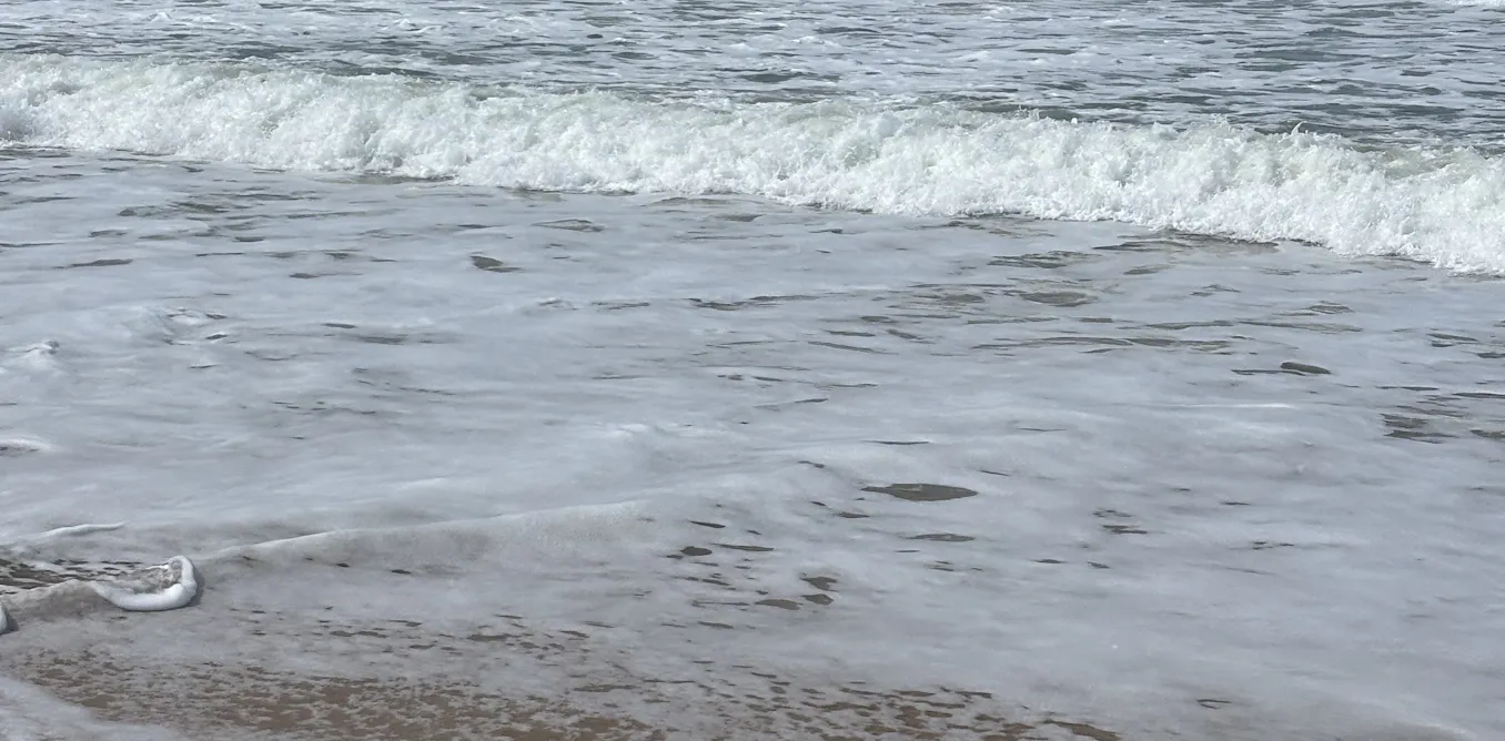 Sea foam reveals a lot about the health of a beach’s ecosystem. Here’s how to spot polluted surf