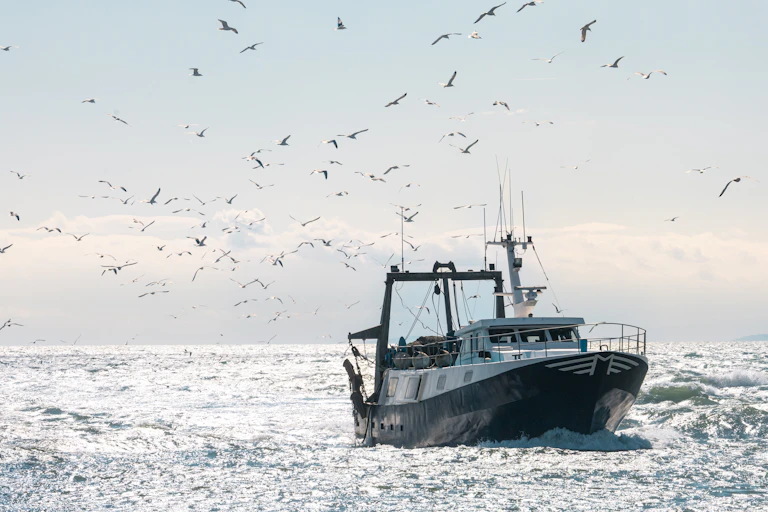 Muchas aves sobrevuelan un barco de pesca en alta mar.