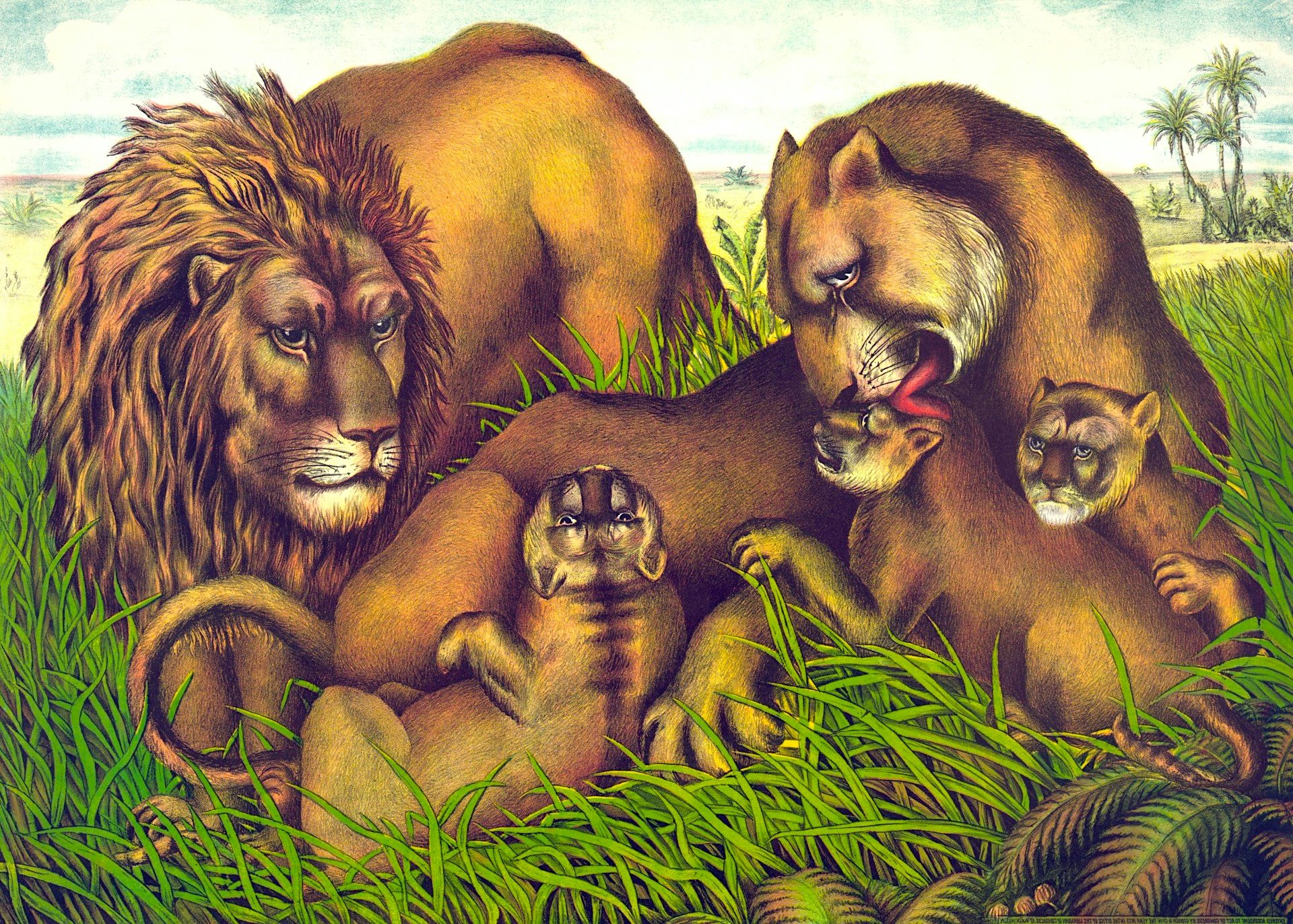 Cameroon’s sacred and royal animals: could literature and futures thinking help save them?