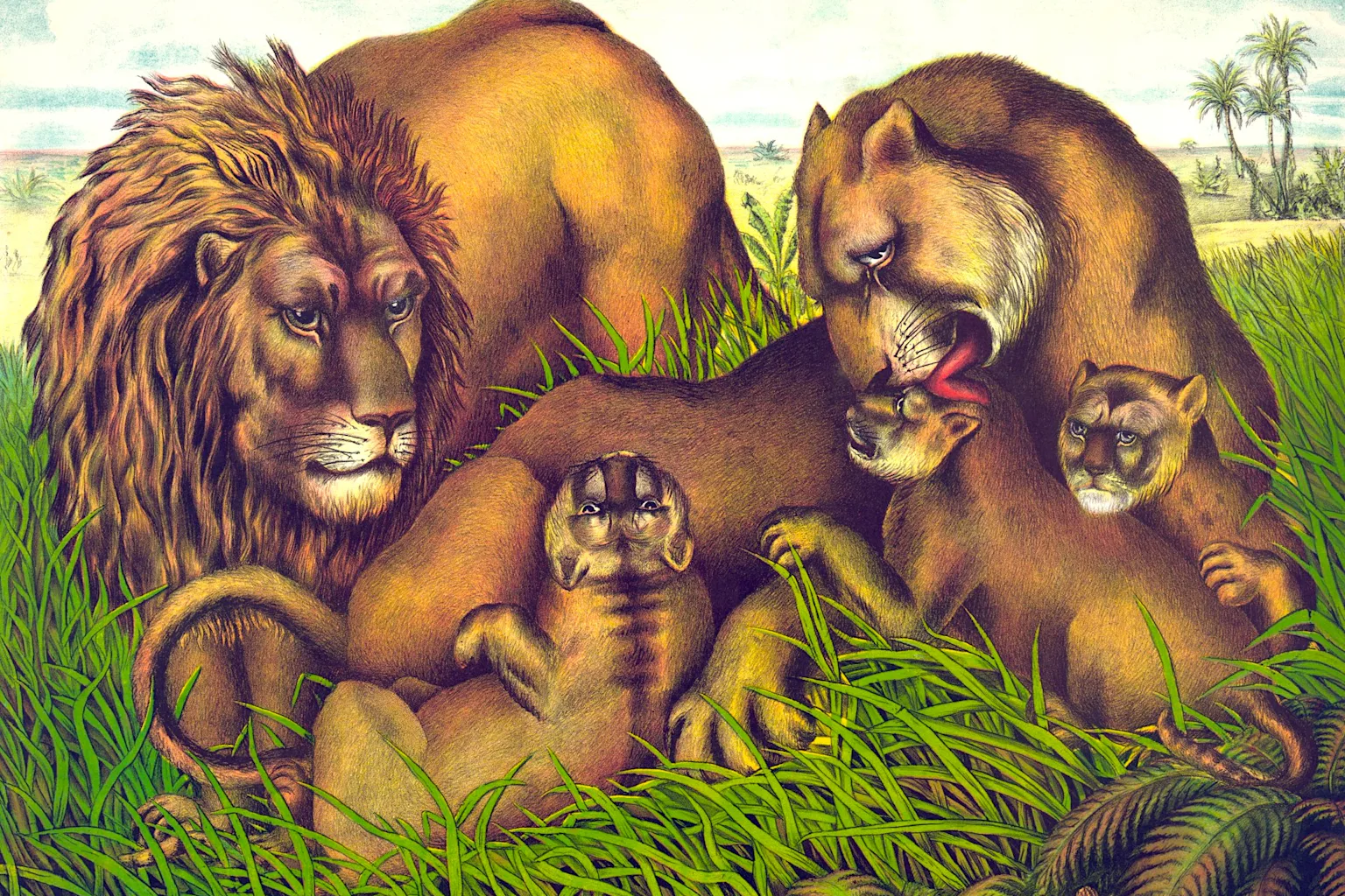 Cameroon’s sacred and royal animals: could literature and futures ...