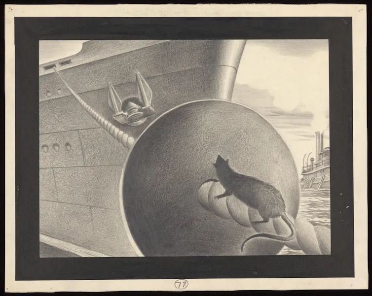 Floating quarantine at the Hondius: a protracted historical past of well being crises at sea 4 file 20260505 85 asi7mw.png?ixlib=rb 4.1