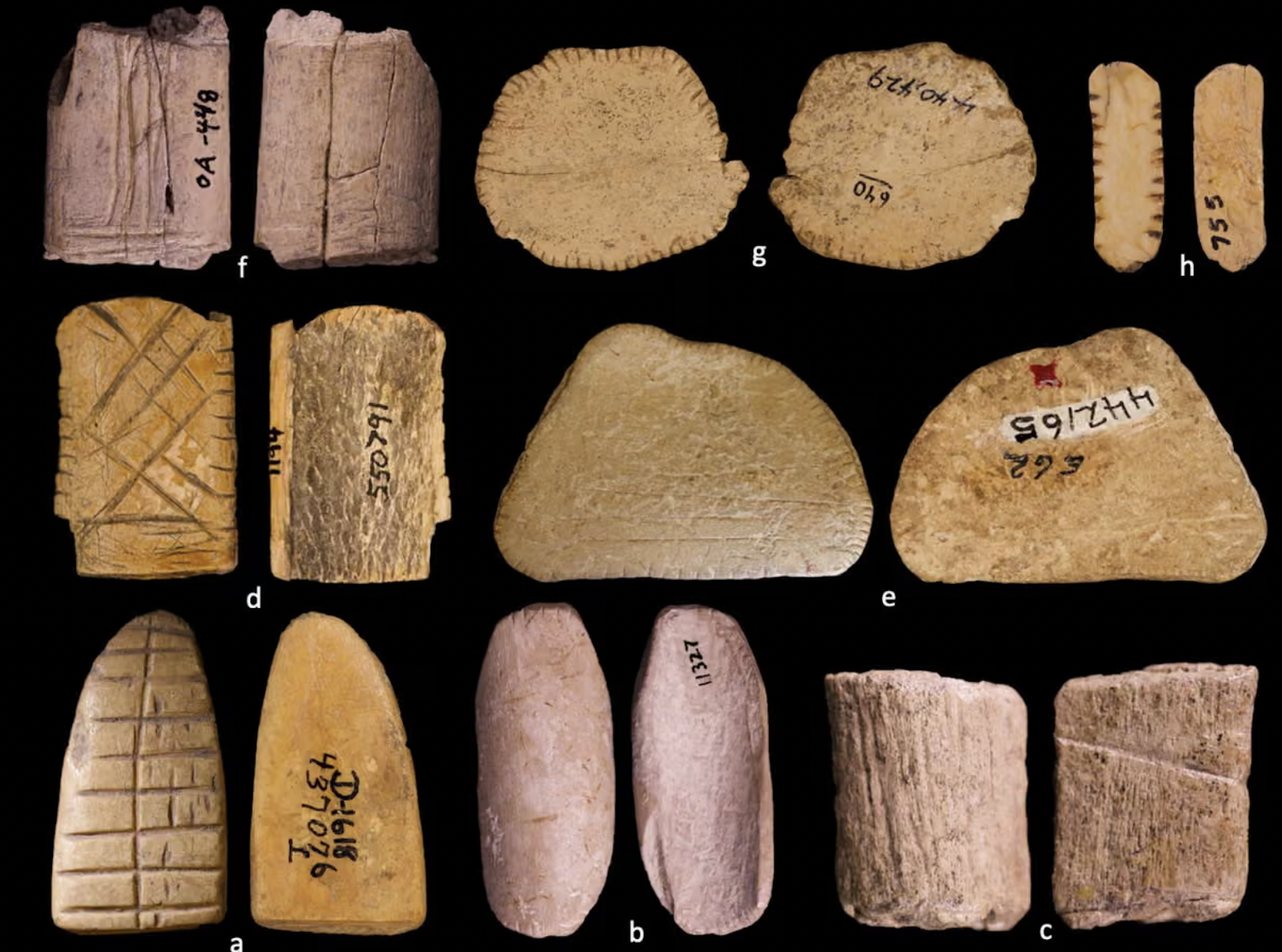 A collection of wood and bone dice